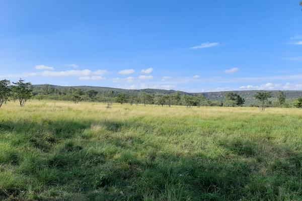Embrace the extraordinary opportunity to own a breathtaking 67-hectare parcel of pristine land in the serene De Tweedespruit area of ...