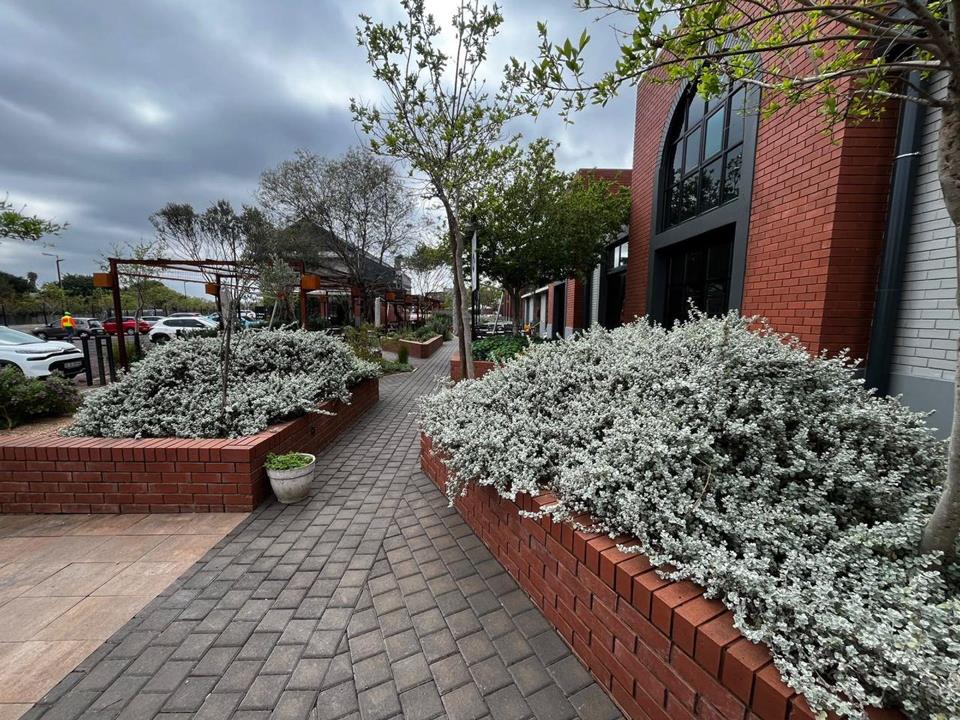 Listing number: P24-117717561, Image number: 1, Image