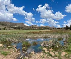 Farm for sale in Clarens