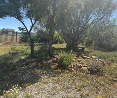 House for sale in Calvinia
