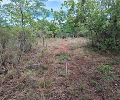 Vacant Land / Plot for sale in Modimolle Rural