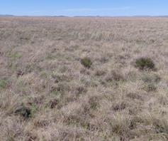 Farm for sale in Edenburg Rural