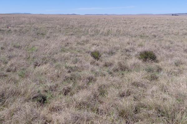 260 HA plaas

3 Weikampe al 3 met water.
Goeie draadheinings

WATERVOORSIENING
1 Boorgat toegeruste Windpomp
2 ...