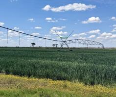 Farm for sale in Koppies