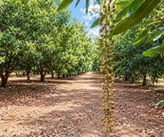 Farm for sale in Louis Trichardt