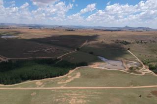 Thumbnail 45
