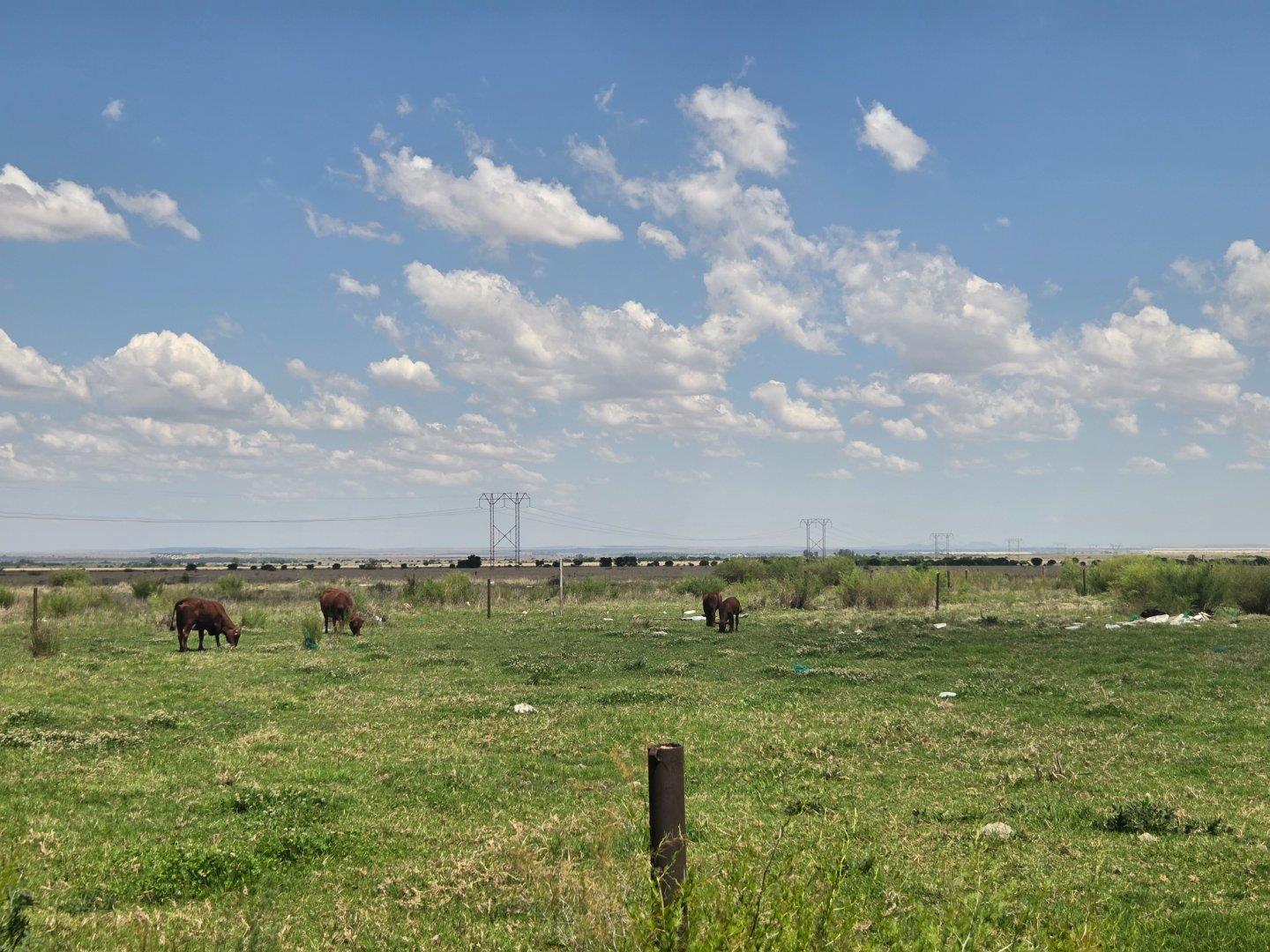 Farm for Sale in Hennenman Rural
