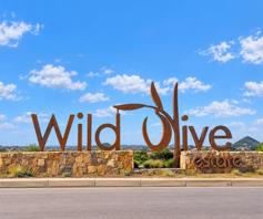 Vacant Land / Plot for sale in Wild Olive Estate