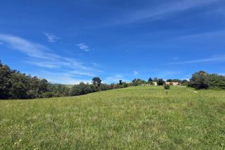 Farm for Sale in Mossel Bay Rural