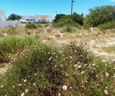 Vacant Land / Plot for sale in Britannia Beach Estate
