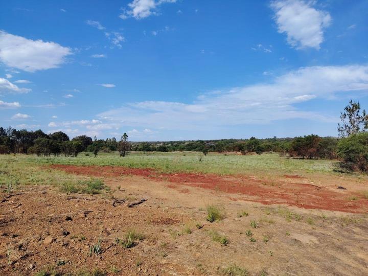 Vacant land / plot for sale in Roodeplaat - 274 Lebombo Street - P24 ...