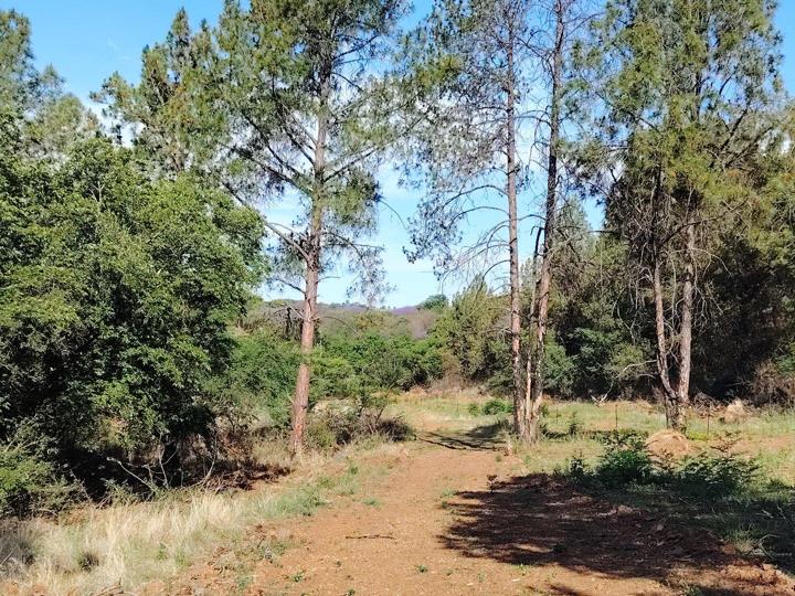 Vacant land / plot for sale in Roodeplaat - 274 Lebombo Street - P24 ...