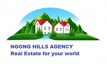 Agency profile logo