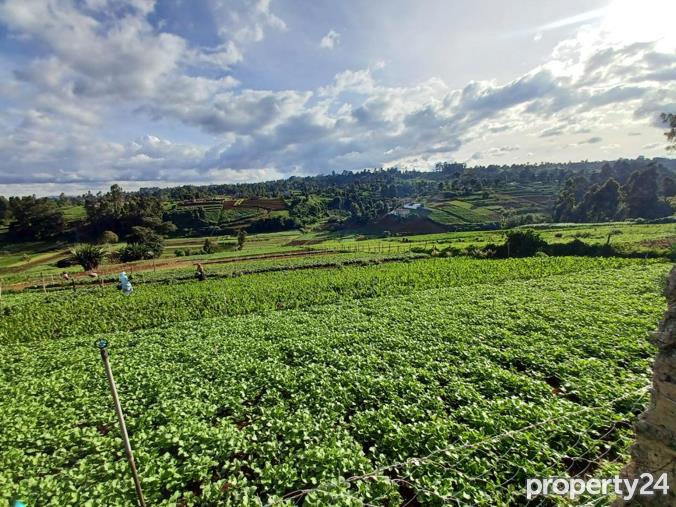 Farm to Rent in Kabete
