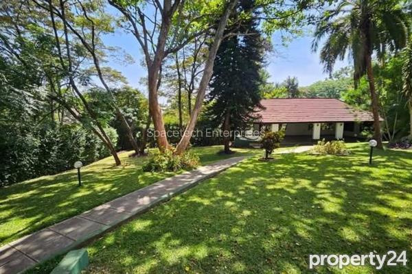 Apartment / Flat to Rent in Runda