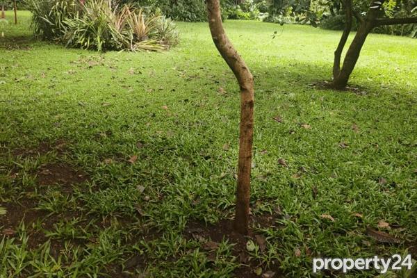 4 Bedroom House for Sale in Runda